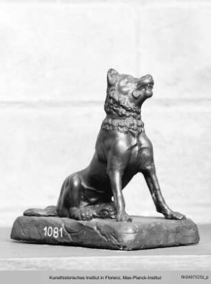 Sitzender Hund - Cane Molosso