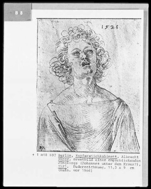 Die niederländische Reise (Das Skizzenbuch mit Federzeichnungen) — Singender Jüngling in Halbfigur