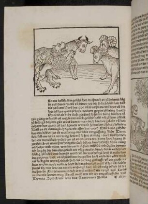 Senespa l, der Löwenkönig, Kalila und Dimna; (Kapitel II: Von dem Löwen und dem Ochsen)