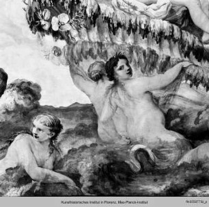 Triumph der Venus und Neptun mit den Tritonen sowie Putten - stanza col affresco trionfo della Venere e tritoni e putti