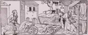 Beigaben eines Handwerks-Zeremonie-Bändchens : Kürschner-Werkstatt, Holzschnitt, 16. Jh.