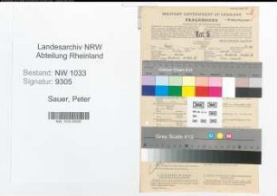Entnazifizierung Peter Sauer , geb. 19.11.1920 (Polizeibeamter)