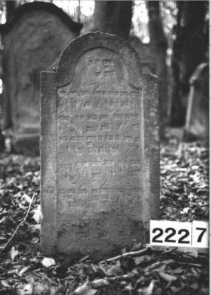 Grabstein 2227