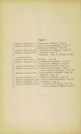[Erläuterungen zu] Tafel V