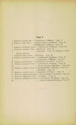 [Erläuterungen zu] Tafel V