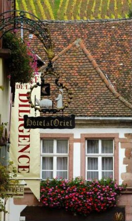 Frankreich. Alsace. Haut Rhin. Riquewihr. Typisches Haus vor Weinbergkulisse