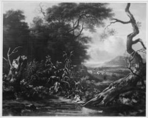 Landschaft mit Sumpf