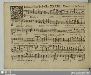 XXXIIII. Alleluia cantate Domino canticum novum