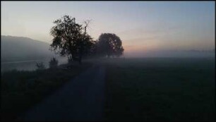 Morgen #03