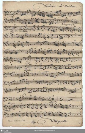 Violino all' Unisono.