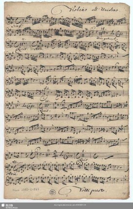 Violino all' Unisono.