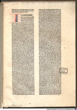 Tractatus de primogenitura