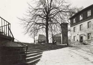 Burg Hohnstein