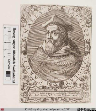Bildnis des Jacopo Sadoleto
