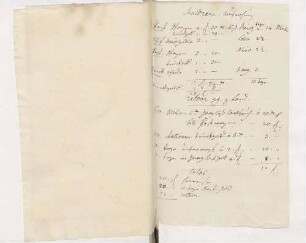 Auflistung der Ausgaben für Mallebrain von Karoline Luises Hand.