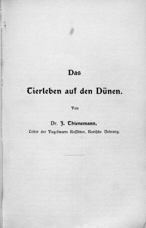 Das Tierleben auf den Dünen.