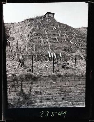 Weinberge 1934