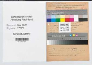 Entnazifizierung Emmy Schmidt, geb. 20.01.1905 (Angest.)