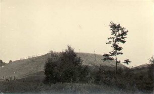 Weinberg und Schanze bei Bühlow bei Spremberg : Winowa hora a hrodźišćo w Běłej pola Grodka