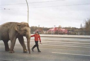 Circus Berolina, Magdeburg - Berlin, 1973-2004