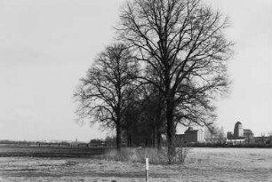 Großes Ostragehege mit Schlachthofbrücke (1931-1932; O. Leske) und Messegebäuden