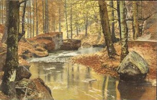 [Bachlauf im Wald]