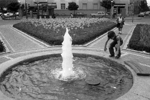 Blumenschmuck und Wassergestaltung am Kolpingplatz
