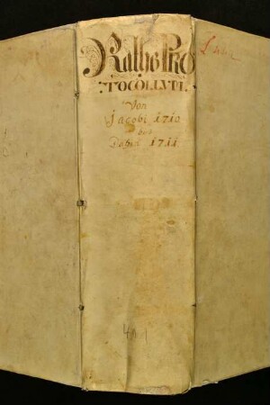 Ratsprotokolle, 1710 Juli 29. - 1711 Juli 12.