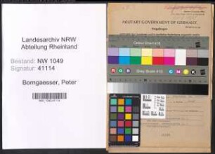 Entnazifizierung Peter Borngaesser , geb. 09.07.1910 (Kaufmann)