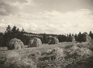 Vogtland nahe Pfaffengut, nördlich von Plauen. Blick über das Tal der Weißen Elster in Richtung Möschwitz (Pöhl-Möschwitz)