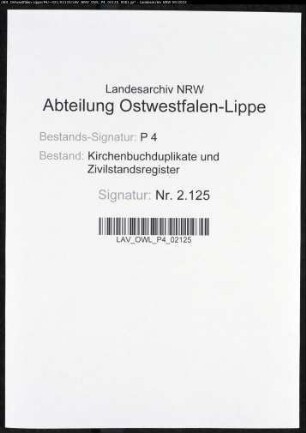Kirchenbuchduplikat der evangelischen Gemeinde Werdohl, Kreis Altena (GHT 1868). (Gemeinde: Werdohl, Evangelische Gemeinde)