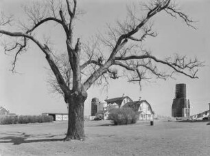 East Hampton (New York), Dayton Farm, Ansicht
