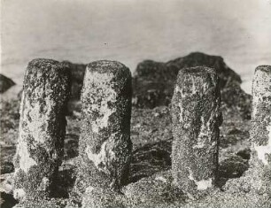 Nordsee, Scheveningen, Pfähle einer Buhne bei Ebbe
