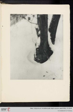 [Alvin Langdon Coburn, IV. Decorative Study, photogravure from original negative
