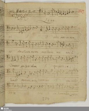 Gregorius, Andreas: Levavi oculos meos