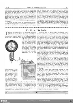 Ein Wecker für Taube