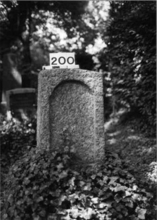 Grabstein 200 (Index: 100085290) Zustand: Schriftplatte entfernt Maße HxBxT: 90x40x18 cm Beschreibung: Stele, Sockel, Segmentbogenabschluß, Schriftplatte mit Rundbogenabschluß: Grabstein 200