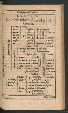 Caput V. De iusticiae domesticae obiectis & mediis.