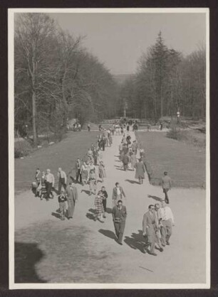 Weg zum Hermannsdenkmal. Detmold. Hiddesen