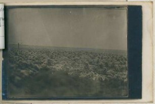 Foto einer feindlichen Stellung gegenüber der Lehmgrubenhöhe, rechter Flügel des linken Bataillons