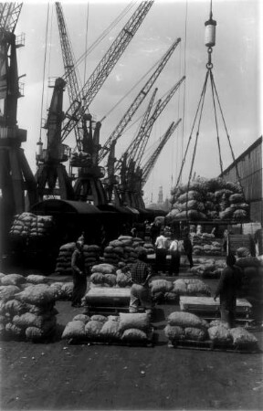 Hamburg. Hafen. Ein Schiff wird mittels Hafenkran entladen. Die Güter liegen auf Paletten