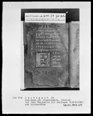 Lateinisches Stundenbuch (Franziskaner-Handschrift) — Gerahmte Initiale E (xpectans) und Teilbordüre, Folio 168verso