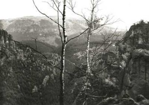 Sächsische Schweiz. Schmilkaer Felsgebiet. Rauschengrund mit Falknertürmen und Rauschensteingruppe gegen Winterberg. Blick vom Ausstieg des Grundweges nach Südwest