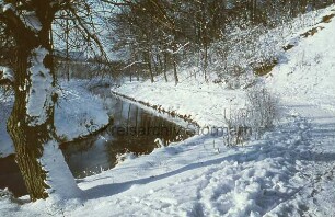 Beste: rechts Wanderweg am Kurpark: links Baum: hinten hinter Bäumen Wohnhäuser: Winter