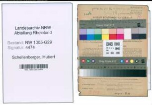 Entnazifizierung Hubert Schellenberger , geb. 01.08.1906 (Angestellter)