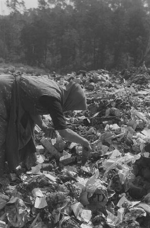 Berlin-Grunewald. Müllsucher. Frau beim Suchen von verwertbaren Gegenständen und Nahrungsmittelresten in den Abfällen der US-Besatzer