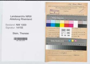Entnazifizierung Therese Stein, geb. 12.01.1900 (Postsekretaerin)