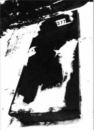 Grabstein 377 (Index: 100092526) Material: Granit, Metallbuchstaben Zustand: gut Maße HxBxT: 200x0x0 cm Beschreibung: Grabplatte auf erhöhter Grabeinfassung, aufgesetzte Buchstaben: Grabstein 377