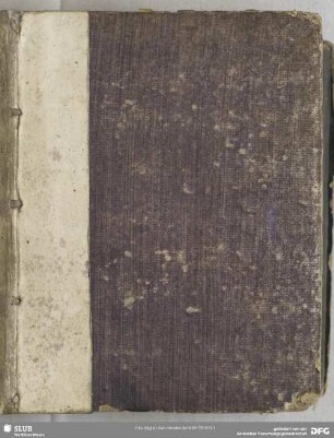 De capillis Romanorum veterum