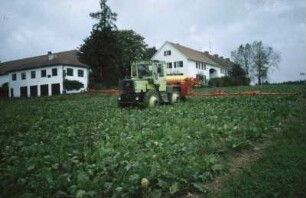Vor-Rodesaat in Dürnast